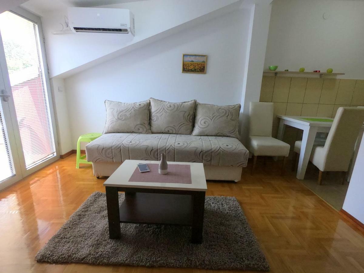 Apartman Zenit Vrnjačka Banja Zewnętrze zdjęcie