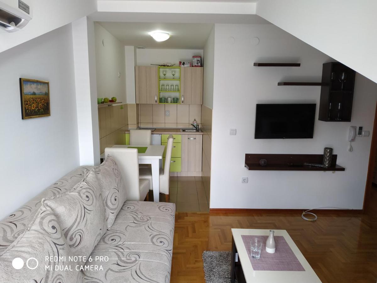 Apartman Zenit Vrnjačka Banja Zewnętrze zdjęcie